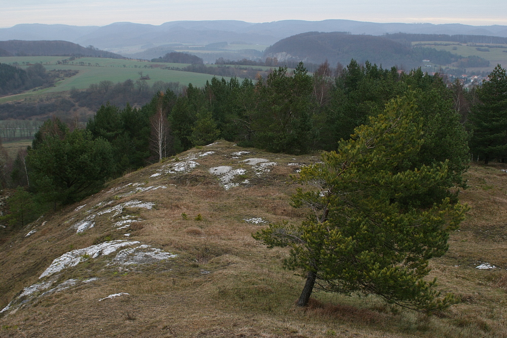 Sattelköpfe