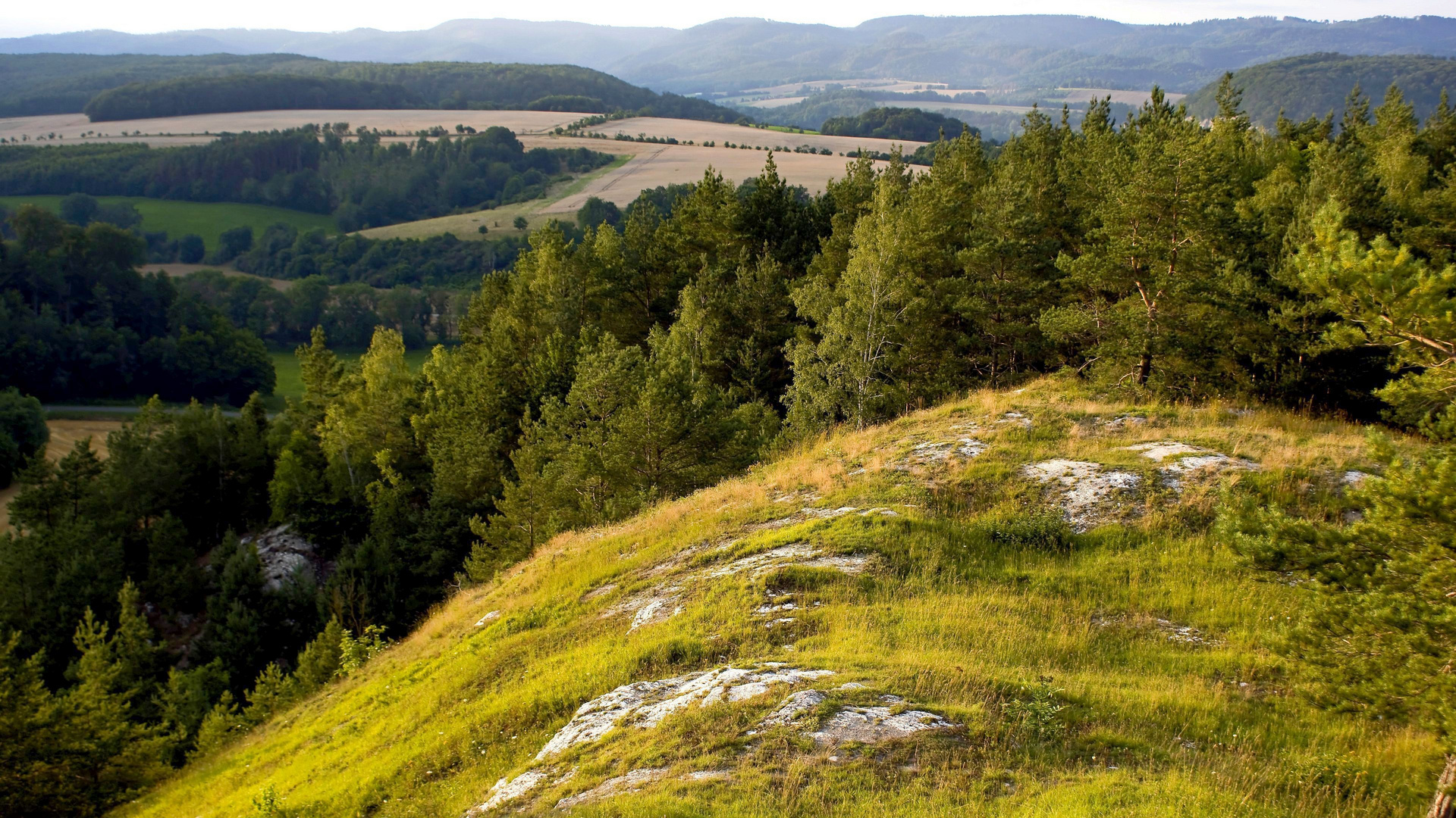 Sattelköpfe bei Hörningen, Südharz-Karst