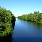 Sattes Grün am Havelkanal