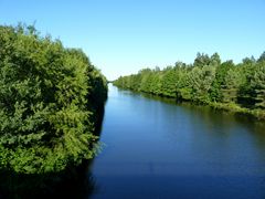 Sattes Grün am Havelkanal