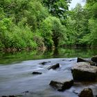 Sattes Grün im Spiegel der Pegnitz...