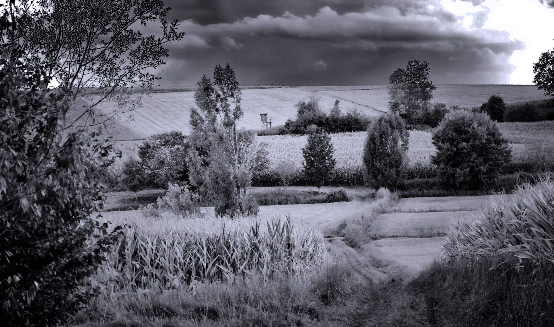 sattes herbst-grün