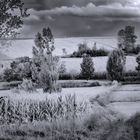 sattes herbst-grün