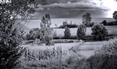 sattes herbst-grün