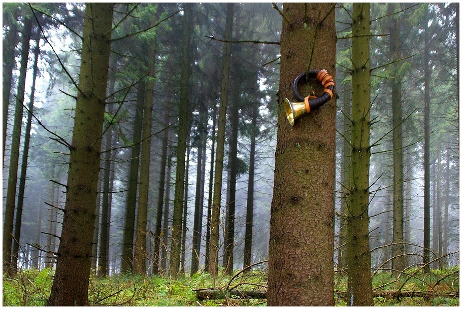 Sau tot - Hirsch tot - Bläser tot ?