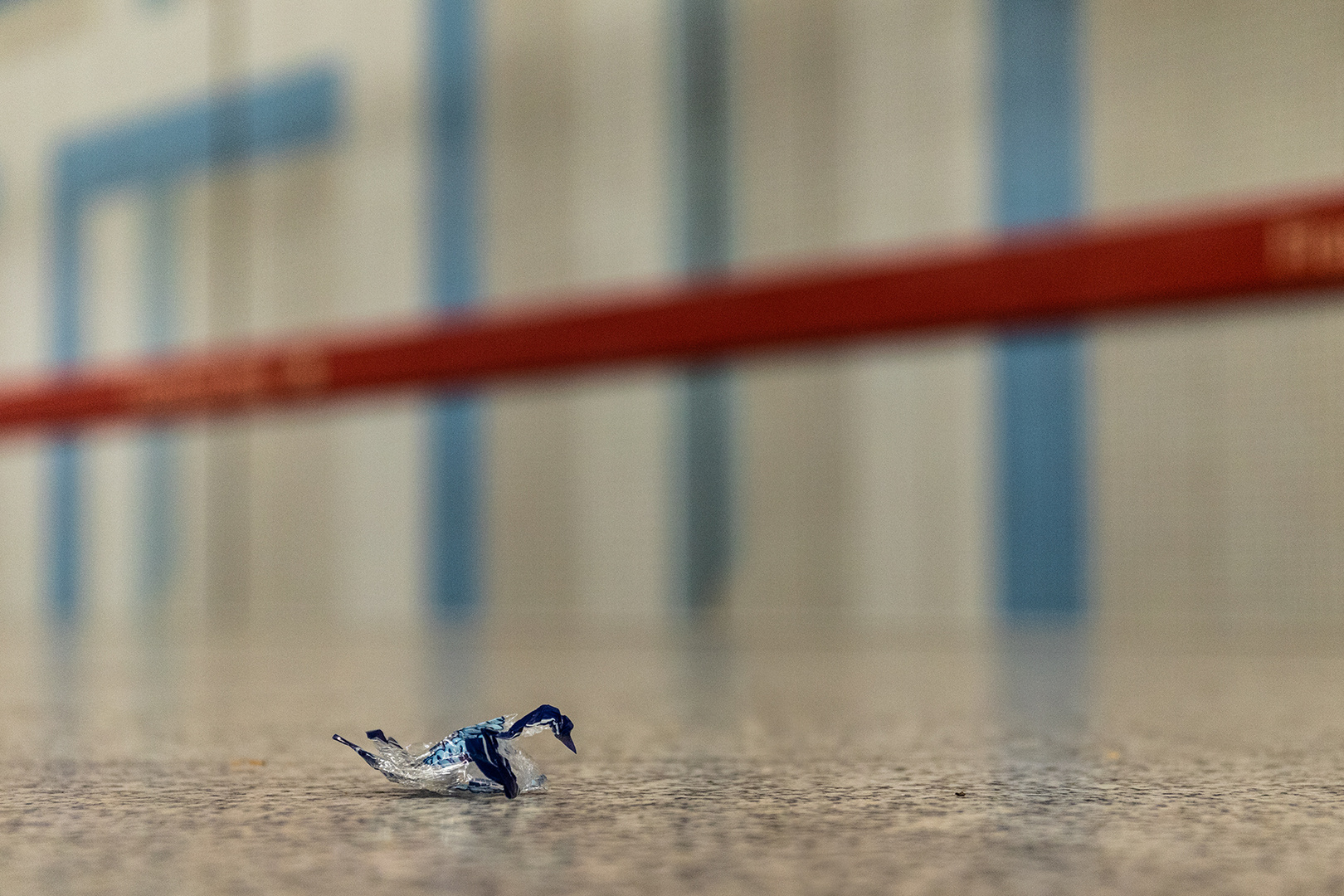 sauber... Foto & Bild world, spezial, münchen Bilder auf