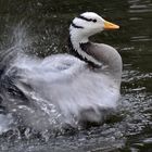 Sauber ins Wochenende 