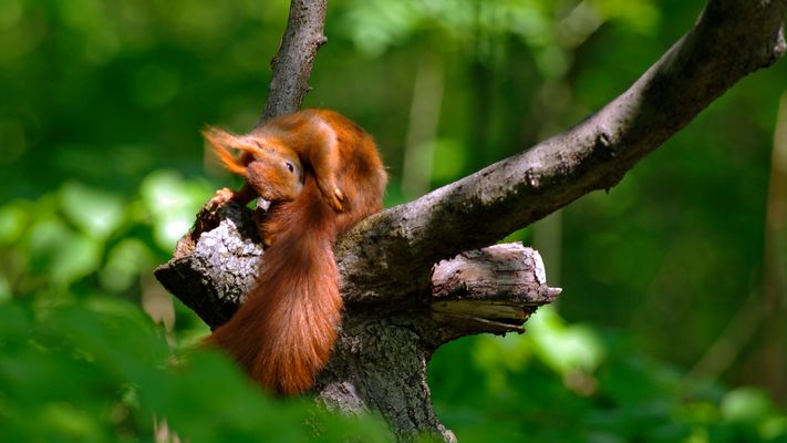 Sauberkeit muss sein