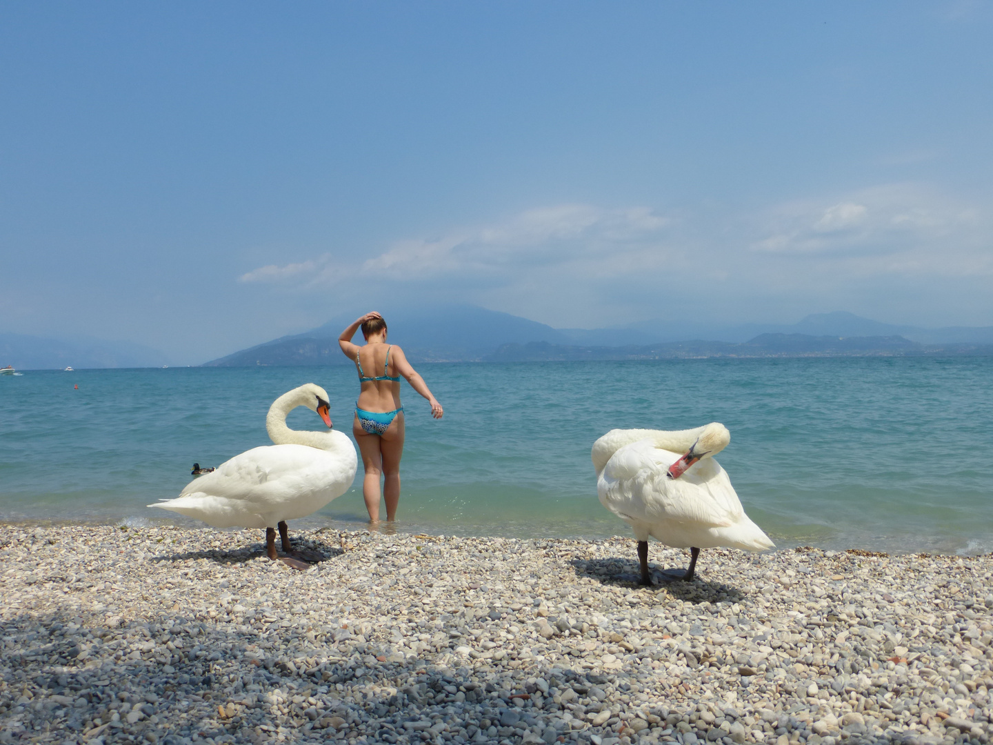 saubermachen am lago del garda