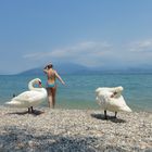 saubermachen am lago del garda