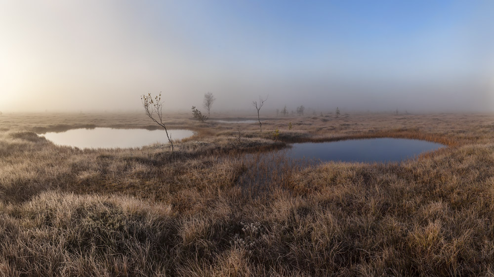 "Saucers into the fog"