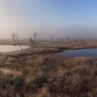 "Saucers into the fog"