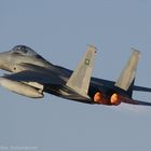 Saudi Arabien F-15 Strike Eagle
