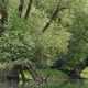Landschaft-Elsass