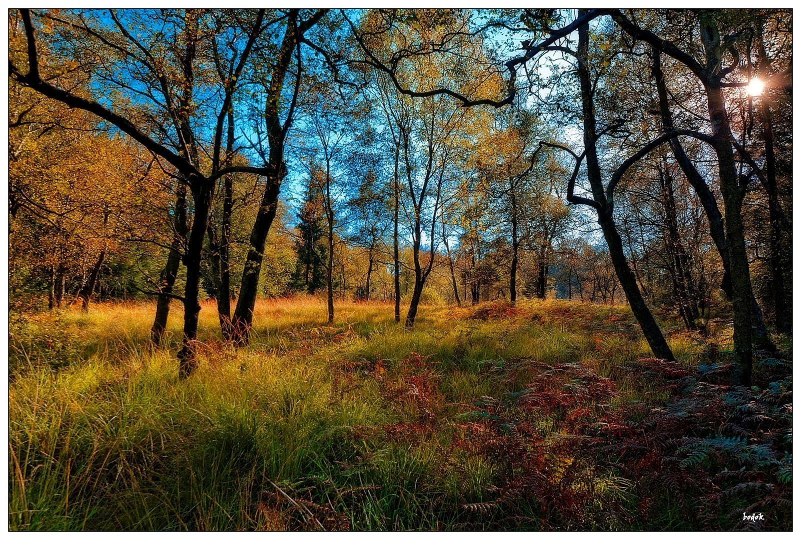 "Sauerländer Herbst"