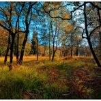 "Sauerländer Herbst"