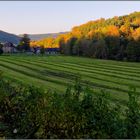 Sauerländer Herbst - Haus Wenne