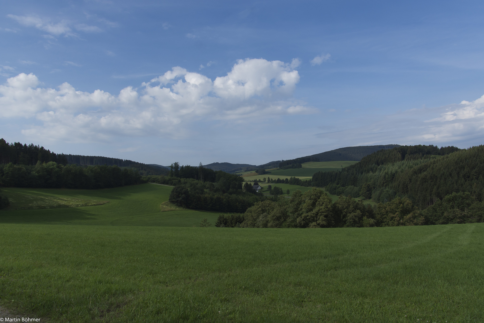 Sauerländer Wald