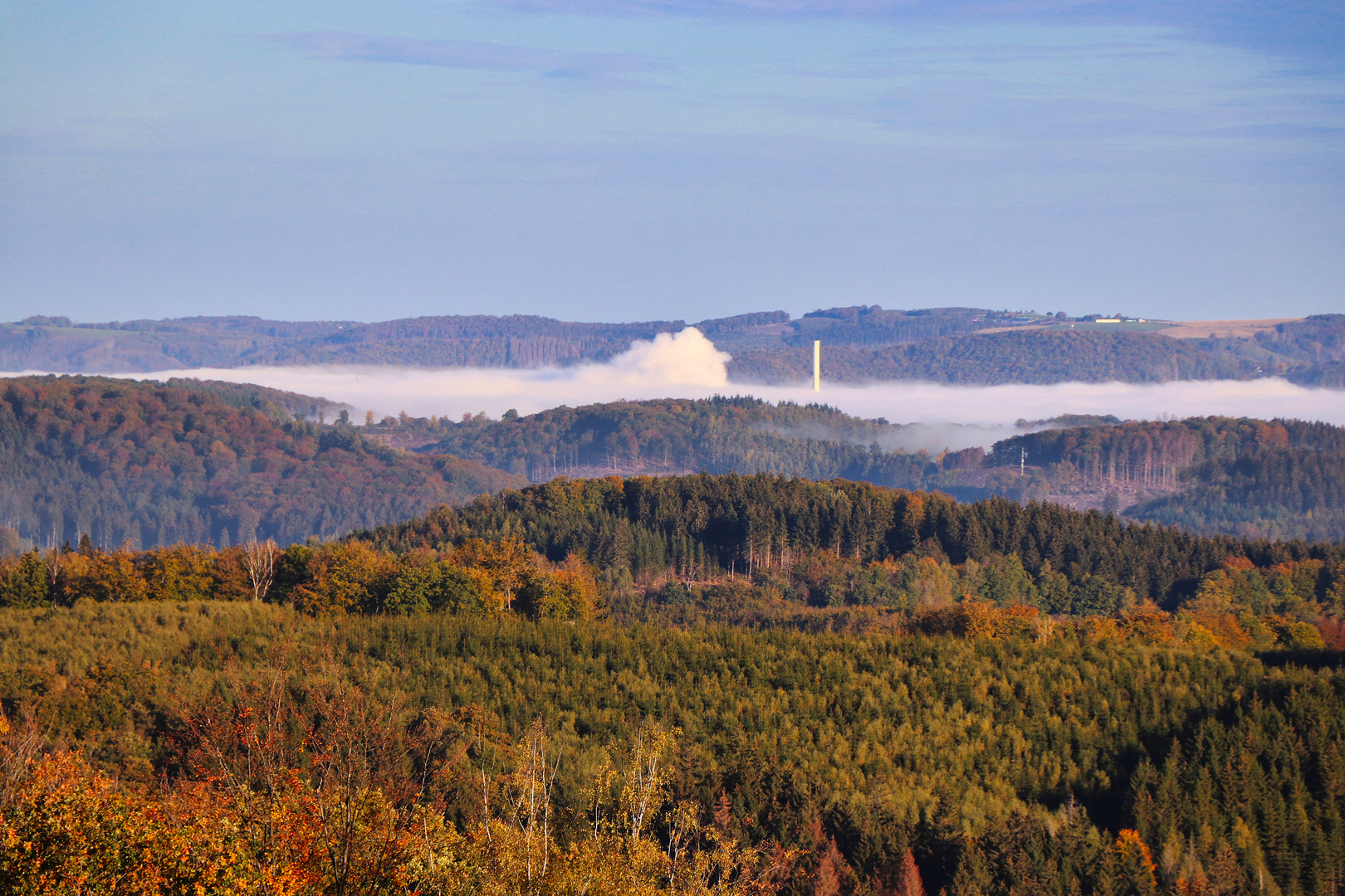 Sauerländer Wald im Oktober