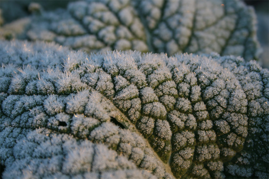 Sauerländer Wintermorgen 1