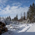 Sauerland 100 