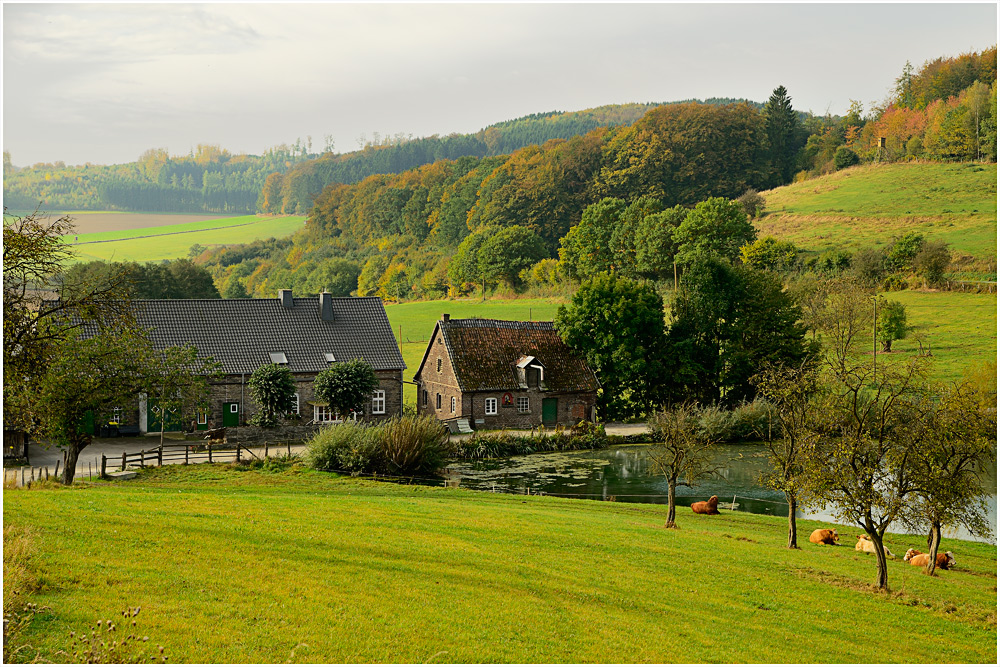 Sauerland