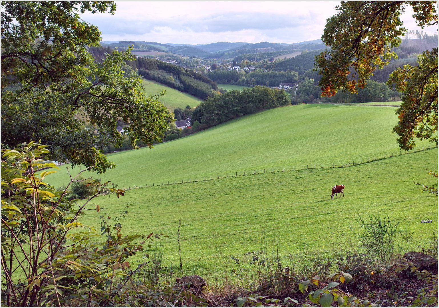 SAUERLAND