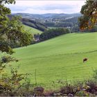 SAUERLAND