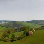 Sauerland ...