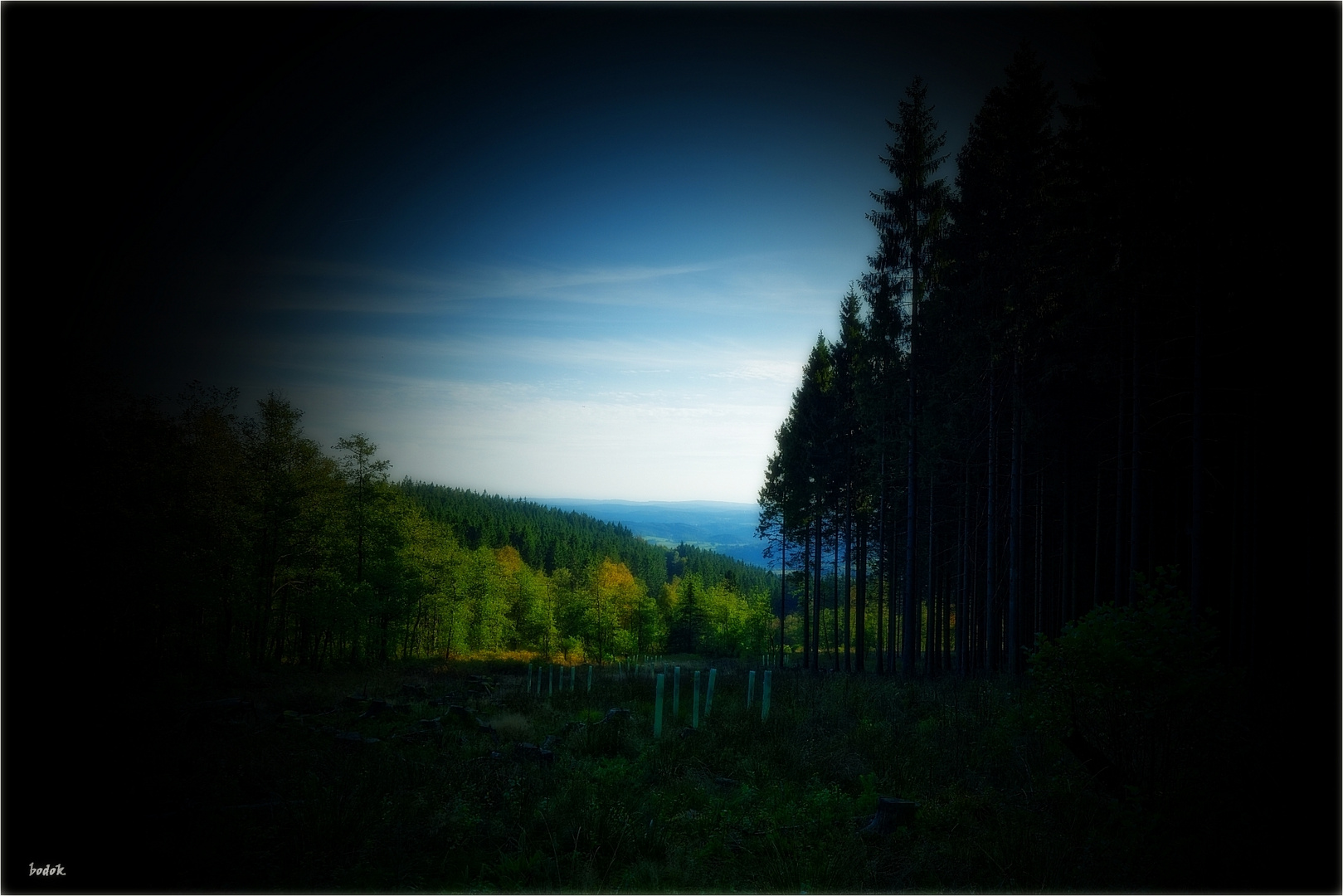 Sauerland