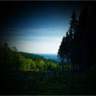 Sauerland