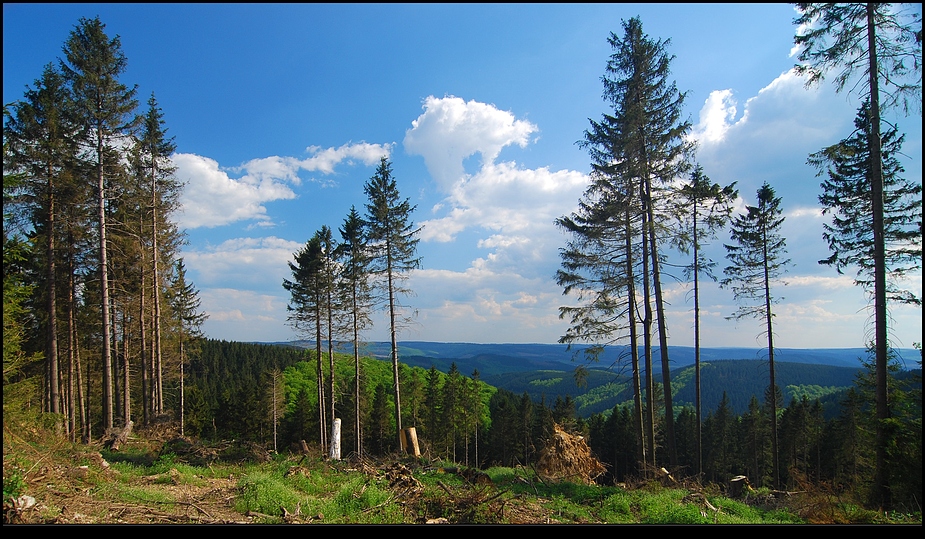 Sauerland