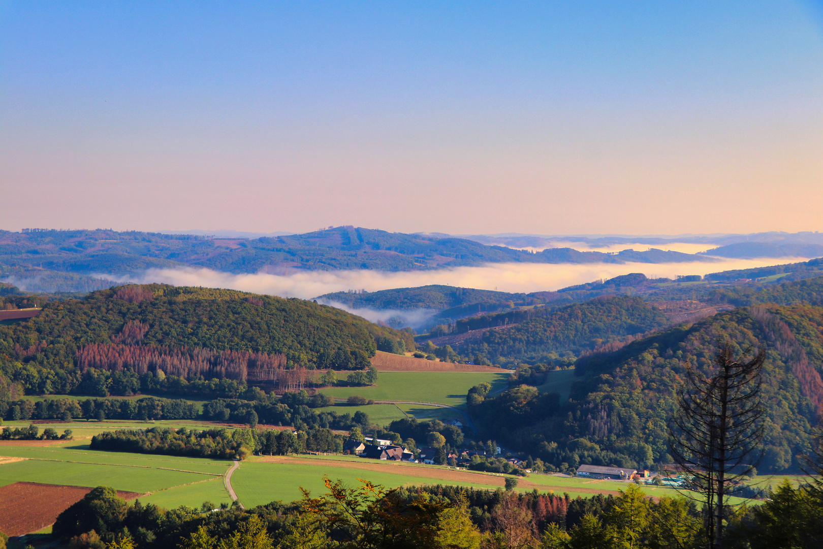 Sauerland