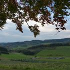 Sauerland