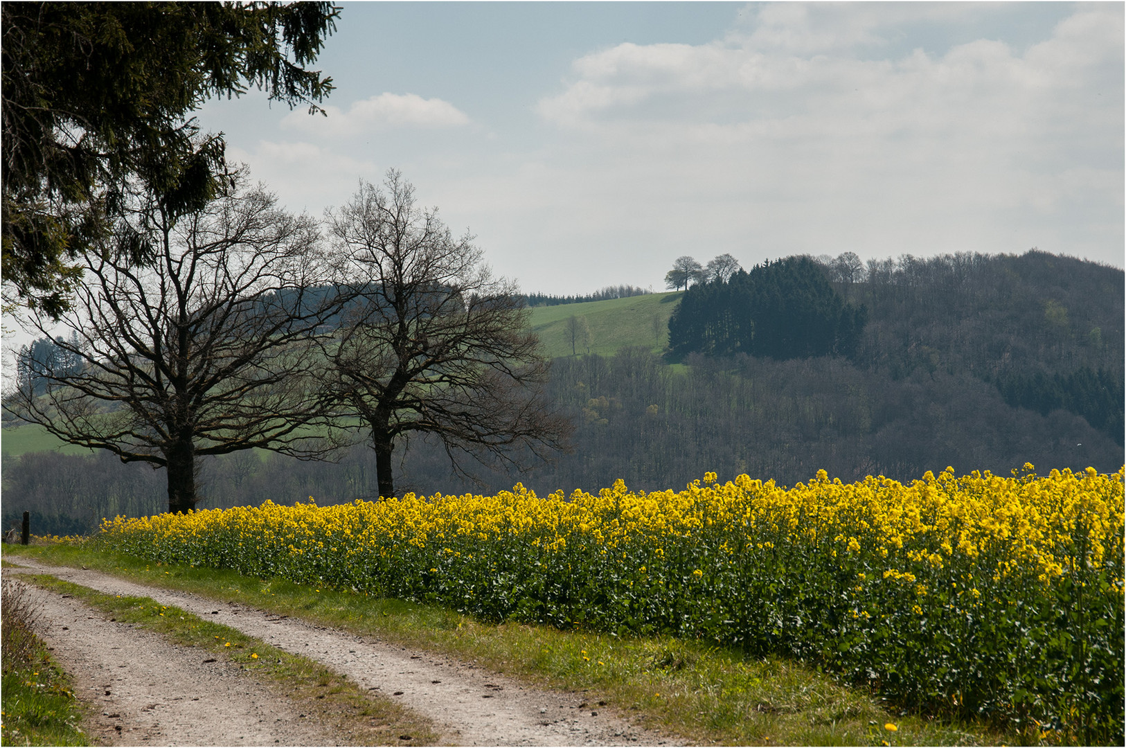 Sauerland