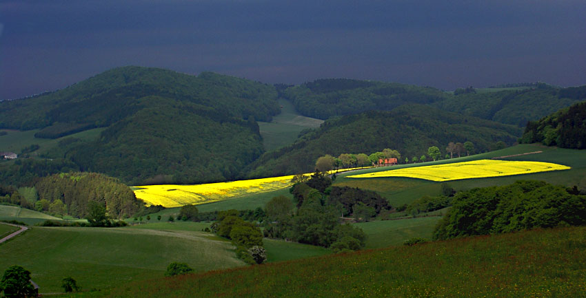 Sauerland