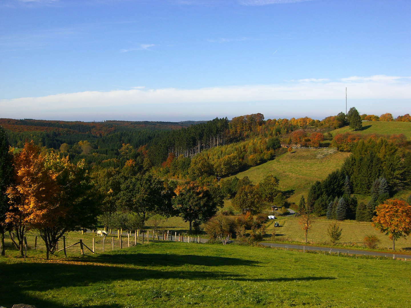 Sauerland