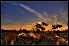 Sauerland Abendstimmung