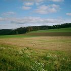 Sauerland bei Westenfeld