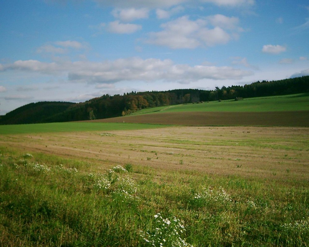 Sauerland bei Westenfeld