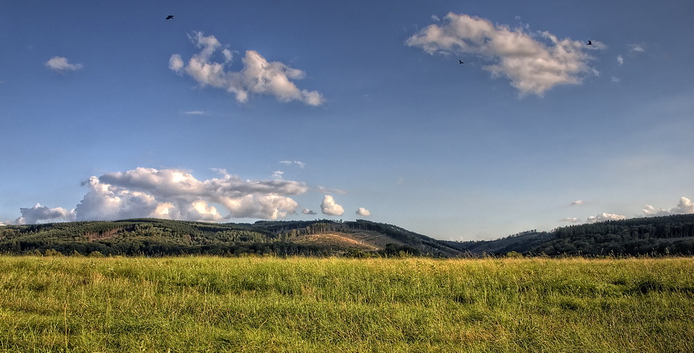 Sauerland Blick 01