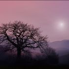 sauerland-blick