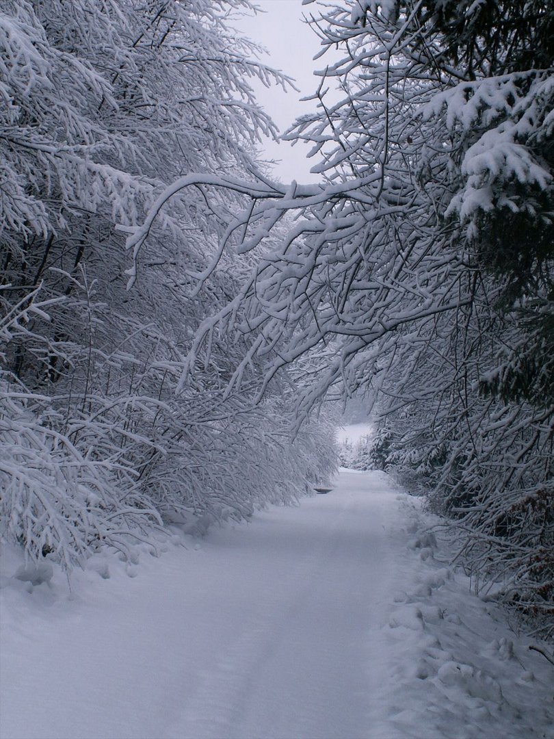 Sauerland, ein Wintermärchen