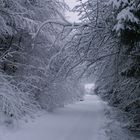 Sauerland, ein Wintermärchen