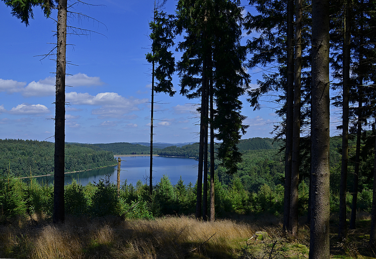 Sauerland