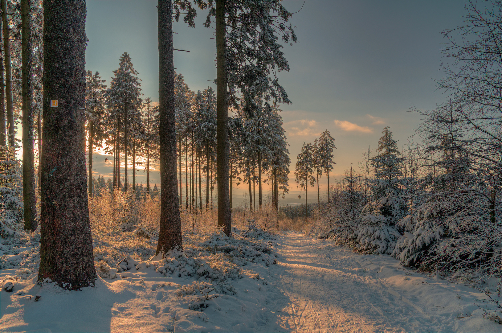 Sauerland Höhenflug