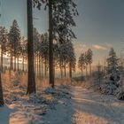 Sauerland Höhenflug