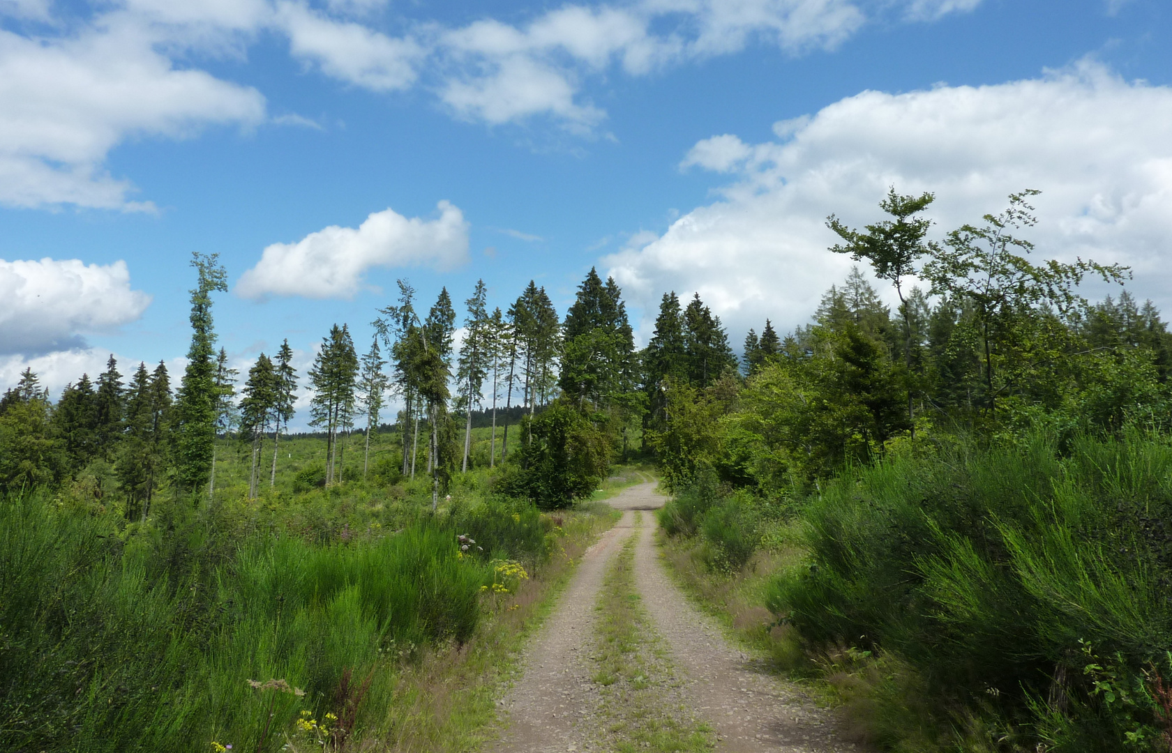 Sauerland Höhenflug