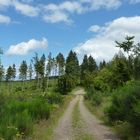 Sauerland Höhenflug