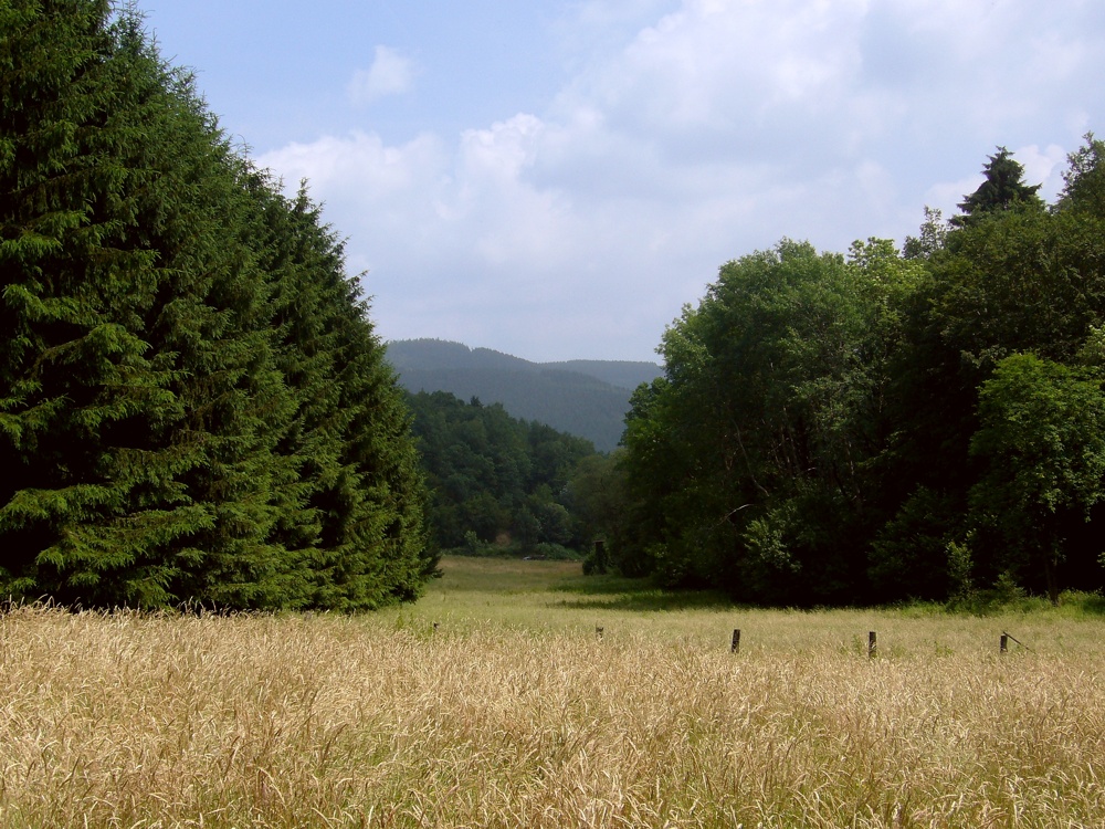 Sauerland-Idyll II